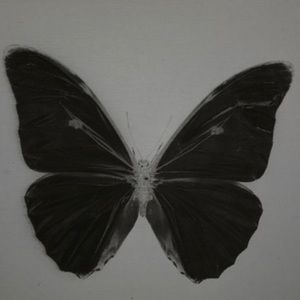 Meet your Posher, Dora